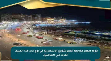 موجة أمطار مفاجئة تغمر شوارع الإسكندرية في أوج الحر هذا الصيف – تعرف على التفاصيل